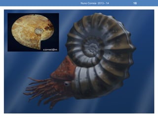 Nuno Correia 2013 - 14 16
 