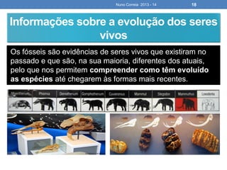 Os fósseis são evidências de seres vivos que existiram no
passado e que são, na sua maioria, diferentes dos atuais,
pelo que nos permitem compreender como têm evoluído
as espécies até chegarem às formas mais recentes.
Nuno Correia 2013 - 14 18
Informações sobre a evolução dos seres
vivos
 