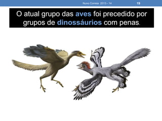 Nuno Correia 2013 - 14 19
O atual grupo das aves foi precedido por
grupos de dinossáurios com penas.
 