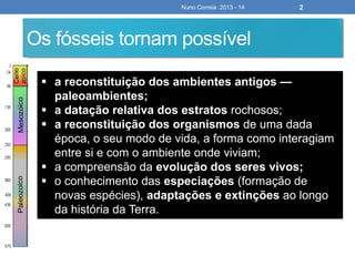 Nuno Correia 2013 - 14 2
Os fósseis tornam possível
 a reconstituição dos ambientes antigos —
paleoambientes;
 a datação relativa dos estratos rochosos;
 a reconstituição dos organismos de uma dada
época, o seu modo de vida, a forma como interagiam
entre si e com o ambiente onde viviam;
 a compreensão da evolução dos seres vivos;
 o conhecimento das especiações (formação de
novas espécies), adaptações e extinções ao longo
da história da Terra.
 