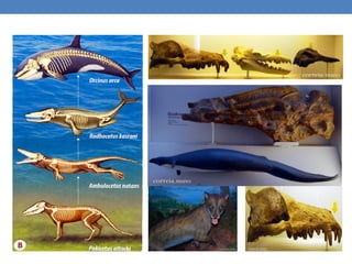 Nuno Correia 2013 - 1422
 