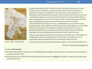 Nuno Correia 2013 - 14 24
 