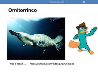 Nuno Correia 2013 - 14 25
Ornitorrinco
Não é fóssil…. http://wikifaunia.com/index.php/Animales
 