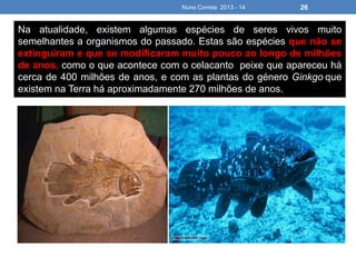 Nuno Correia 2013 - 14 26
Na atualidade, existem algumas espécies de seres vivos muito
semelhantes a organismos do passado. Estas são espécies que não se
extinguiram e que se modificaram muito pouco ao longo de milhões
de anos, como o que acontece com o celacanto peixe que apareceu há
cerca de 400 milhões de anos, e com as plantas do género Ginkgo que
existem na Terra há aproximadamente 270 milhões de anos.
 