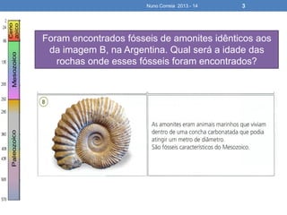 Nuno Correia 2013 - 14 3
Foram encontrados fósseis de amonites idênticos aos
da imagem B, na Argentina. Qual será a idade das
rochas onde esses fósseis foram encontrados?
 