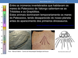 Nuno Correia 2013 - 14 7
Entre os inúmeros invertebrados que habitavam os
mares do Paleozoico de Valongo salientam-se as
Trilobites e os Graptólitos.
Estes animais dominaram temporariamente os mares
do Paleozoico, tendo desaparecido do nosso planeta
antes do aparecimento dos primeiros dinossauros.
http://www.valongoambiental.com/index.php?module=newsmodule&action=view&id=6
http://www.belmont.sd62.bc.ca/Foto – Manuel Valério – Centro de Interpretação Geológica de Arouca
 