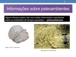 Nuno Correia 2013 - 14
8
Informações sobre paleoambientes
Alguns fósseis podem dar-nos muitas informações importantes
sobre os ambientes de tempos passados — paleoambientes.
Imagem : Cientic 7º. Porto Editora
http://www.nhm.ac.uk/index.html
 