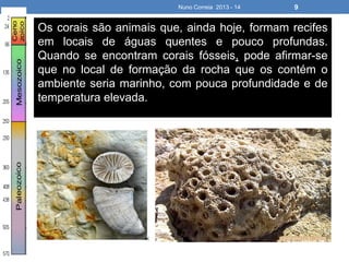 Nuno Correia 2013 - 14 9
Os corais são animais que, ainda hoje, formam recifes
em locais de águas quentes e pouco profundas.
Quando se encontram corais fósseis, pode afirmar-se
que no local de formação da rocha que os contém o
ambiente seria marinho, com pouca profundidade e de
temperatura elevada.
 
