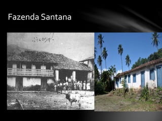 Fazenda Santana
 