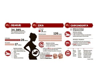 A história do aedes aegypti