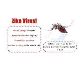 A história do aedes aegypti