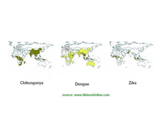 A história do aedes aegypti