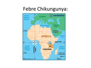 Febre Chikungunya:
 