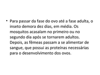 • Para passar da fase do ovo até a fase adulta, o
inseto demora dez dias, em média. Os
mosquitos acasalam no primeiro ou no
segundo dia após se tornarem adultos.
Depois, as fêmeas passam a se alimentar de
sangue, que possui as proteínas necessárias
para o desenvolvimento dos ovos.
 