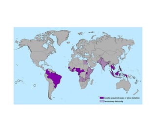 A história do aedes aegypti