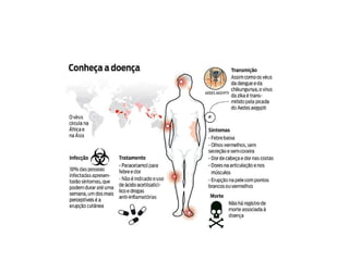 A história do aedes aegypti