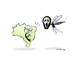 A história do aedes aegypti
