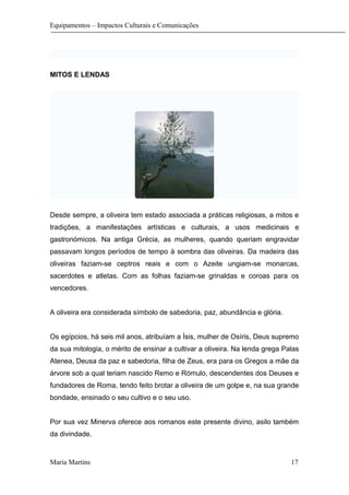 Equipamentos – Impactos Culturais e Comunicações
MITOS E LENDAS
Desde sempre, a oliveira tem estado associada a práticas religiosas, a mitos e
tradições, a manifestações artísticas e culturais, a usos medicinais e
gastronómicos. Na antiga Grécia, as mulheres, quando queriam engravidar
passavam longos períodos de tempo à sombra das oliveiras. Da madeira das
oliveiras faziam-se ceptros reais e com o Azeite ungiam-se monarcas,
sacerdotes e atletas. Com as folhas faziam-se grinaldas e coroas para os
vencedores.
A oliveira era considerada símbolo de sabedoria, paz, abundância e glória.
Os egípcios, há seis mil anos, atribuíam a Ísis, mulher de Osíris, Deus supremo
da sua mitologia, o mérito de ensinar a cultivar a oliveira. Na lenda grega Palas
Atenea, Deusa da paz e sabedoria, filha de Zeus, era para os Gregos a mãe da
árvore sob a qual teriam nascido Remo e Rómulo, descendentes dos Deuses e
fundadores de Roma, tendo feito brotar a oliveira de um golpe e, na sua grande
bondade, ensinado o seu cultivo e o seu uso.
Por sua vez Minerva oferece aos romanos este presente divino, asilo também
da divindade.
Maria Martins 17
 