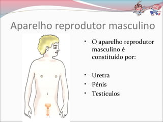Aparelho reprodutor masculino
• O aparelho reprodutor
masculino é
constituído por:
• Uretra
• Pénis
• Testículos
 