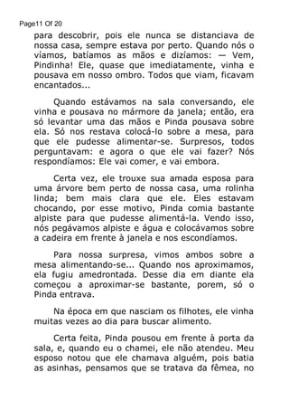 Page11 Of 20

para descobrir, pois ele nunca se distanciava de
nossa casa, sempre estava por perto. Quando nós o
víamos, batíamos as mãos e dizíamos: — Vem,
Pindinha! Ele, quase que imediatamente, vinha e
pousava em nosso ombro. Todos que viam, ficavam
encantados...
Quando estávamos na sala conversando, ele
vinha e pousava no mármore da janela; então, era
só levantar uma das mãos e Pinda pousava sobre
ela. Só nos restava colocá-lo sobre a mesa, para
que ele pudesse alimentar-se. Surpresos, todos
perguntavam: e agora o que ele vai fazer? Nós
respondíamos: Ele vai comer, e vai embora.
Certa vez, ele trouxe sua amada esposa para
uma árvore bem perto de nossa casa, uma rolinha
linda; bem mais clara que ele. Eles estavam
chocando, por esse motivo, Pinda comia bastante
alpiste para que pudesse alimentá-la. Vendo isso,
nós pegávamos alpiste e água e colocávamos sobre
a cadeira em frente à janela e nos escondíamos.
Para nossa surpresa, vimos ambos sobre a
mesa alimentando-se... Quando nos aproximamos,
ela fugiu amedrontada. Desse dia em diante ela
começou a aproximar-se bastante, porem, só o
Pinda entrava.
Na época em que nasciam os filhotes, ele vinha
muitas vezes ao dia para buscar alimento.
Certa feita, Pinda pousou em frente à porta da
sala, e, quando eu o chamei, ele não atendeu. Meu
esposo notou que ele chamava alguém, pois batia
as asinhas, pensamos que se tratava da fêmea, no

 