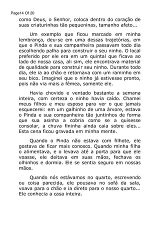 Page14 Of 20

como Deus, o Senhor, coloca dentro do coração de
suas criaturinhas tão pequeninas, tamanho afeto...
Um exemplo que ficou marcado em minha
lembrança, deu-se em uma dessas trajetórias, em
que o Pinda e sua companheira passavam todo dia
escolhendo palha para construir o seu ninho. O local
preferido por ele era em um quintal que ficava ao
lado de nossa casa, ali sim, ele encontrava material
de qualidade para construir seu ninho. Durante todo
dia, ele ia ao chão e retornava com um raminho em
seu bico. Imaginei que o ninho já estivesse pronto,
pois não via mais a fêmea, somente ele.
Havia chovido e ventado bastante a semana
inteira, com certeza o ninho havia caído. Chamei
meus filhos e meu esposo para ver o que jamais
esquecerei: em um galhinho de uma árvore, estava
o Pinda e sua companheira tão juntinhos de forma
que sua asinha a cobria como se a quisesse
consolar, a chuva fininha ainda caia sobre eles...
Esta cena ficou gravada em minha mente.
Quando o Pinda não estava com filhote, ele
gostava de ficar mais conosco. Quando minha filha
o alimentava, e o levava até a porta para que ele
voasse, ele deitava em suas mãos, fechava os
olhinhos e dormia. Ele se sentia seguro em nossas
mãos.
Quando nós estávamos no quarto, escrevendo
ou coisa parecida, ele pousava no sofá da sala,
voava para o chão e ia direto para o nosso quarto...
Ele conhecia a casa inteira.

 