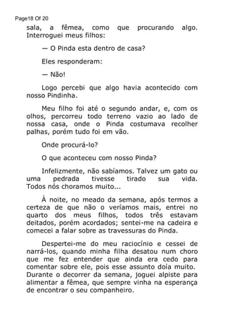 Page18 Of 20

sala, a fêmea, como
Interroguei meus filhos:

que

procurando

algo.

— O Pinda esta dentro de casa?
Eles responderam:
— Não!
Logo percebi que algo havia acontecido com
nosso Pindinha.
Meu filho foi até o segundo andar, e, com os
olhos, percorreu todo terreno vazio ao lado de
nossa casa, onde o Pinda costumava recolher
palhas, porém tudo foi em vão.
Onde procurá-lo?
O que aconteceu com nosso Pinda?
Infelizmente, não sabíamos. Talvez um gato ou
uma
pedrada
tivesse
tirado
sua
vida.
Todos nós choramos muito...
À noite, no meado da semana, após termos a
certeza de que não o veríamos mais, entrei no
quarto dos meus filhos, todos três estavam
deitados, porém acordados; sentei-me na cadeira e
comecei a falar sobre as travessuras do Pinda.
Despertei-me do meu raciocínio e cessei de
narrá-los, quando minha filha desatou num choro
que me fez entender que ainda era cedo para
comentar sobre ele, pois esse assunto doía muito.
Durante o decorrer da semana, joguei alpiste para
alimentar a fêmea, que sempre vinha na esperança
de encontrar o seu companheiro.

 