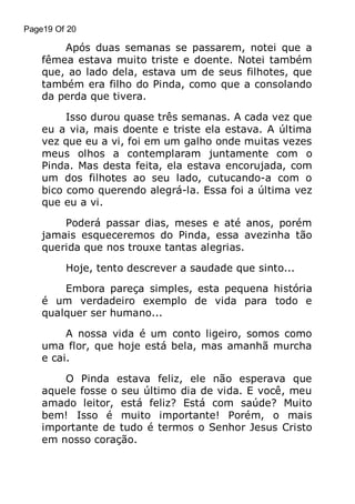 Page19 Of 20

Após duas semanas se passarem, notei que a
fêmea estava muito triste e doente. Notei também
que, ao lado dela, estava um de seus filhotes, que
também era filho do Pinda, como que a consolando
da perda que tivera.
Isso durou quase três semanas. A cada vez que
eu a via, mais doente e triste ela estava. A última
vez que eu a vi, foi em um galho onde muitas vezes
meus olhos a contemplaram juntamente com o
Pinda. Mas desta feita, ela estava encorujada, com
um dos filhotes ao seu lado, cutucando-a com o
bico como querendo alegrá-la. Essa foi a última vez
que eu a vi.
Poderá passar dias, meses e até anos, porém
jamais esqueceremos do Pinda, essa avezinha tão
querida que nos trouxe tantas alegrias.
Hoje, tento descrever a saudade que sinto...
Embora pareça simples, esta pequena história
é um verdadeiro exemplo de vida para todo e
qualquer ser humano...
A nossa vida é um conto ligeiro, somos como
uma flor, que hoje está bela, mas amanhã murcha
e cai.
O Pinda estava feliz, ele não esperava que
aquele fosse o seu último dia de vida. E você, meu
amado leitor, está feliz? Está com saúde? Muito
bem! Isso é muito importante! Porém, o mais
importante de tudo é termos o Senhor Jesus Cristo
em nosso coração.

 