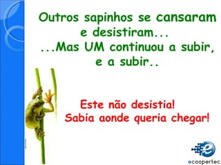 Outros sapinhos se  cansaram  e desistiram...  ...Mas UM continuou a subir, e a subir.. Este não desistia! Sabia aonde queria chegar! 