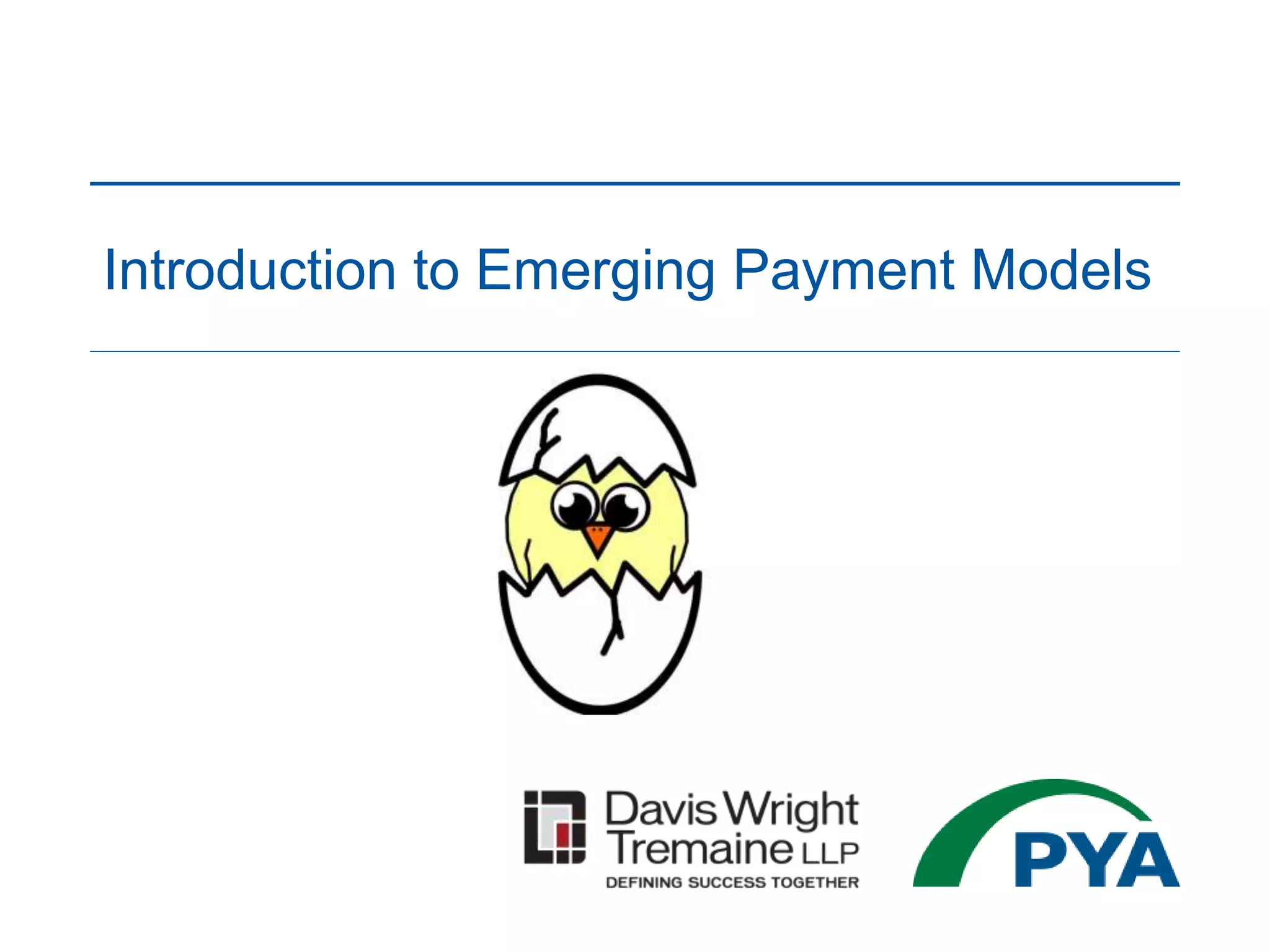 Introduction to Emerging Payment Models
 