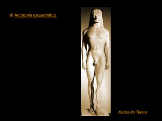 d) Anatomía esquemática
Kuros de Tenea
 