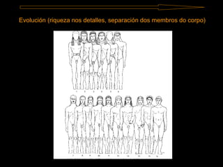 Evolución (riqueza nos detalles, separación dos membros do corpo)
 