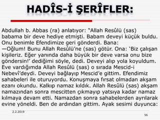 56
2.2.2019
Abdullah b. Abbas (ra) anlatıyor: “Allah Resûlü (sas)
babama bir deve hediye etmişti. Babam deveyi küçük buldu.
Onu benimle Efendimize geri gönderdi. Bana:
—Oğlum! Bunu Allah Resûlü’ne (sas) götür. Ona: ‘Biz çalışan
kişileriz. Eğer yanında daha büyük bir deve varsa onu bize
göndersin!’ dediğimi söyle, dedi. Deveyi alıp yola koyuldum.
Eve vardığımda Allah Resûlü (sas) o sırada Mescid-i
Nebevî’deydi. Deveyi bağlayıp Mescid’e gittim. Efendimiz
sahabeleri ile oturuyordu. Konuşmaya fırsat olmadan akşam
ezanı okundu. Kalkıp namaz kıldık. Allah Resûlü (sas) akşam
namazından sonra mescitten çıkmayıp yatsıya kadar namaz
kılmaya devam etti. Namazdan sonra sahabelerden ayrılarak
evine yöneldi. Ben de ardından gittim. Ayak sesimi duyunca:
 