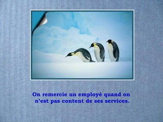On remercie un employé quand on  n’est pas content de ses services. 