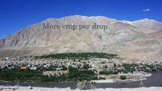 More crop per drop
 