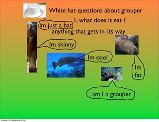 White hat questions about grouper
                                          1. what does it eat ?
                            Im just a hat
                                 anything that gets in its way

                               Im skinny

                                             Im cool
                                                                Im
                                                                fat

                                               am I a grouper


Sunday, 20 September 2009
 