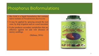 Smart Phosphorus Fertilizers for Sustainable Agriculture by Ahmad Kamal ...