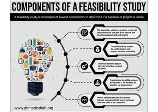Components of a Feasibility Study