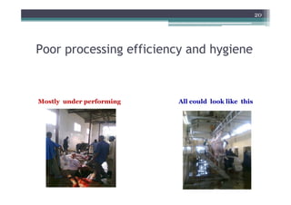 20




Poor processing efficiency and hygiene



Mostly under performing   All could look like this
 