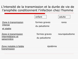 L’intensité de la transmission et la durée de vie de
 l’anophèle conditionnent l’infection chez l’homme

                         enfant               adulte

Zone à transmission      formes graves          rares
intense
                         du paludisme
et stable

Zone à transmission       formes graves       neuropaludisme
intermédiaire et
                          du paludisme
saisonnière


Zone instable à faible             épidémie
transmission
 