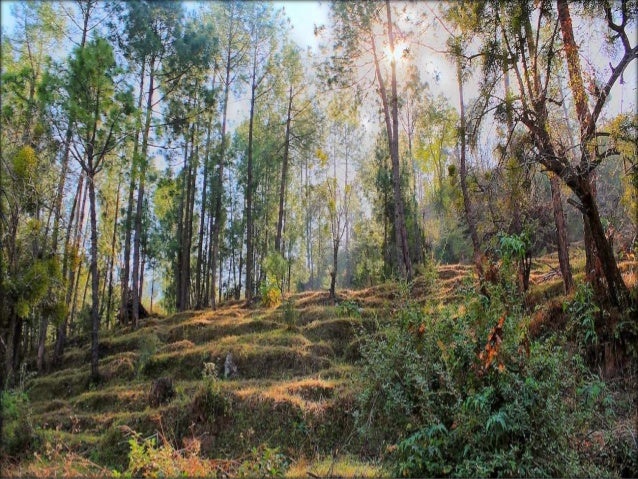 Geography of Bihar by Eithasab Ahmed