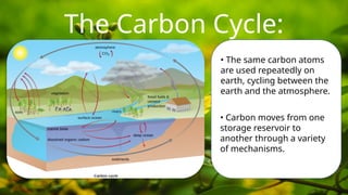 The Carbon Cycle:
• The same carbon atoms
are used repeatedly on
earth, cycling between the
earth and the atmosphere.
• Carbon moves from one
storage reservoir to
another through a variety
of mechanisms.
 