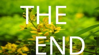 THE
END
 