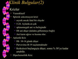 Klinik Bulgular(2)
   Krizler
    • Vazookluzif
    • Splenik sekestrasyon krizi
       • seyrek ancak fatal bir olaydır
       • 5-24. Aylarda en çok
       • splenomegali ani ve belirgindir
       • Hb ani düşer (dalakta göllenmeye bağlı)
       • Ani karın ağrısı ve kusma olur.
    • Aplastik Kriz
       • Hb 10-14 günde düşer
       • Parvovirus B-19 suçlanmaktadır
       • Retikulosit başlangıçta düşer, sonra % 50’ye kadar
         artabilir.
    • Hiperhemolitik Kriz
 