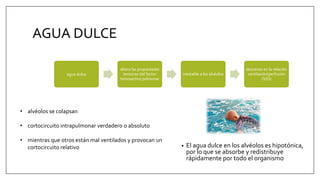 AGUA DULCE
• El agua dulce en los alvéolos es hipotónica,
por lo que se absorbe y redistribuye
rápidamente por todo el organismo
agua dulce
altera las propiedades
tensoras del factor
tensoactivo pulmonar
inestable a los alvéolos
descenso en la relación
ventilación/perfusión
(V/Q)
• alvéolos se colapsan
• cortocircuito intrapulmonar verdadero o absoluto
• mientras que otros están mal ventilados y provocan un
cortocircuito relativo
 
