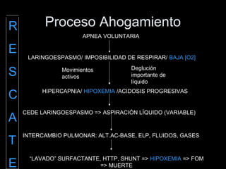 Proceso Ahogamiento
APNEA VOLUNTARIA
LARINGOESPASMO/ IMPOSIBILIDAD DE RESPIRAR/ BAJA [O2]
HIPERCAPNIA/ HIPOXEMIA /ACIDOSIS PROGRESIVAS
Deglución
importante de
líquido
Movimientos
activos
CEDE LARINGOESPASMO => ASPIRACIÓN LÍQUIDO (VARIABLE)
INTERCAMBIO PULMONAR: ALT.AC-BASE, ELP, FLUIDOS, GASES
“LAVADO” SURFACTANTE, HTTP, SHUNT => HIPOXEMIA => FOM
=> MUERTE
R
E
S
C
A
T
E
 