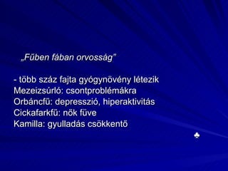 „ Fűben fában orvosság” - több száz fajta gyógynövény létezik Mezeizsúrló: csontproblémákra Orbáncfű: depresszió, hiperaktivitás Cickafarkfű: nők füve Kamilla: gyulladás csökkentő ♣ 