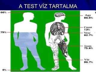 A TEST VÍZ TARTALMA 