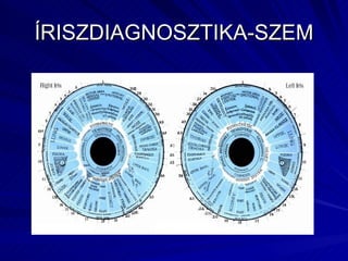 ÍRISZDIAGNOSZTIKA-SZEM 