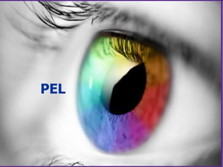 PEL 