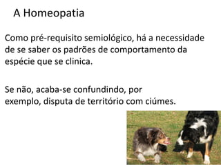 A Homeopatia
Como pré-requisito semiológico, há a necessidade
de se saber os padrões de comportamento da
espécie que se clinica.
Se não, acaba-se confundindo, por
exemplo, disputa de território com ciúmes.
 